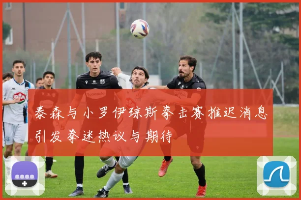 泰森与小罗伊琼斯拳击赛推迟消息引发拳迷热议与期待