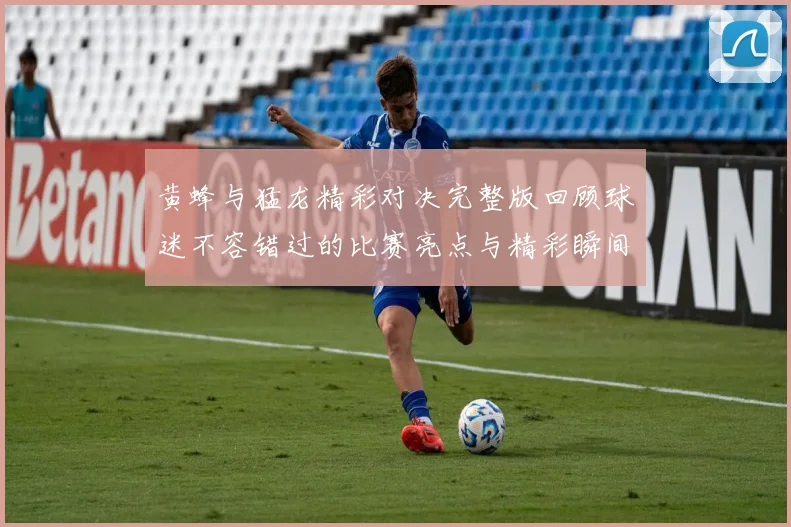 黄蜂与猛龙精彩对决完整版回顾球迷不容错过的比赛亮点与精彩瞬间
